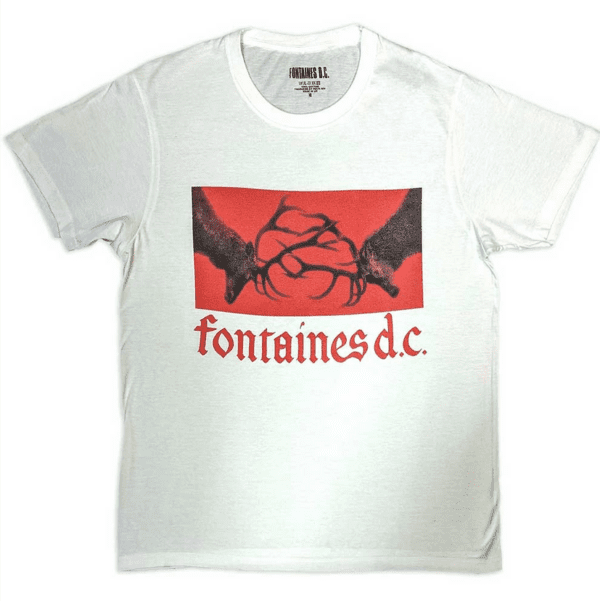 FONTAINES D.C.
