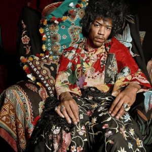 Jimi Hendrix: Wild Thing The Short, SpellBinding Life of Jimi Hendrix