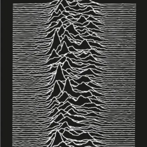 JOY DIVISION