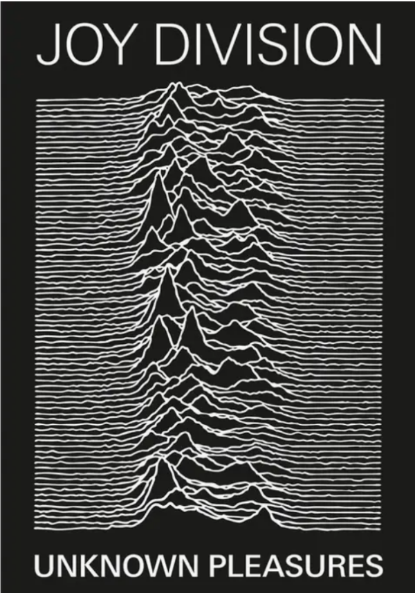 JOY DIVISION