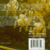 Madredeus & Flemish Radio Orchestra – Euforia