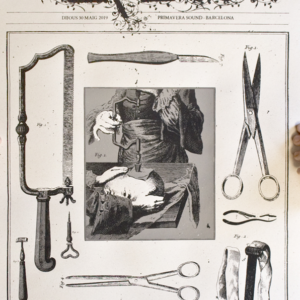 CARCASS